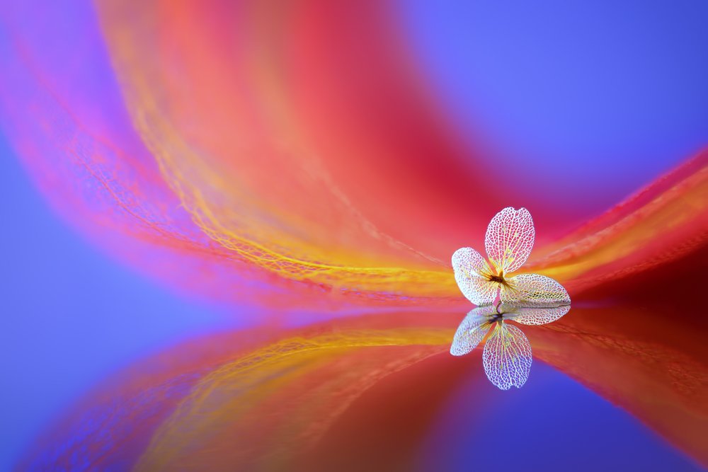 Reflet d