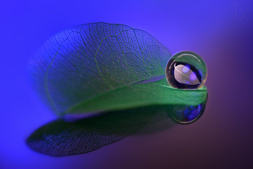 Sphère en verre « Feuille délicate » - Sophie Pan