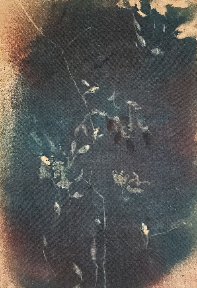 Motifs botaniques bleu foncé - Stefano Mazzolini