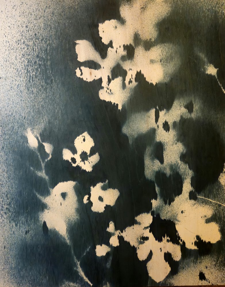 Feuilles botaniques sombres - Stefano Mazzolini