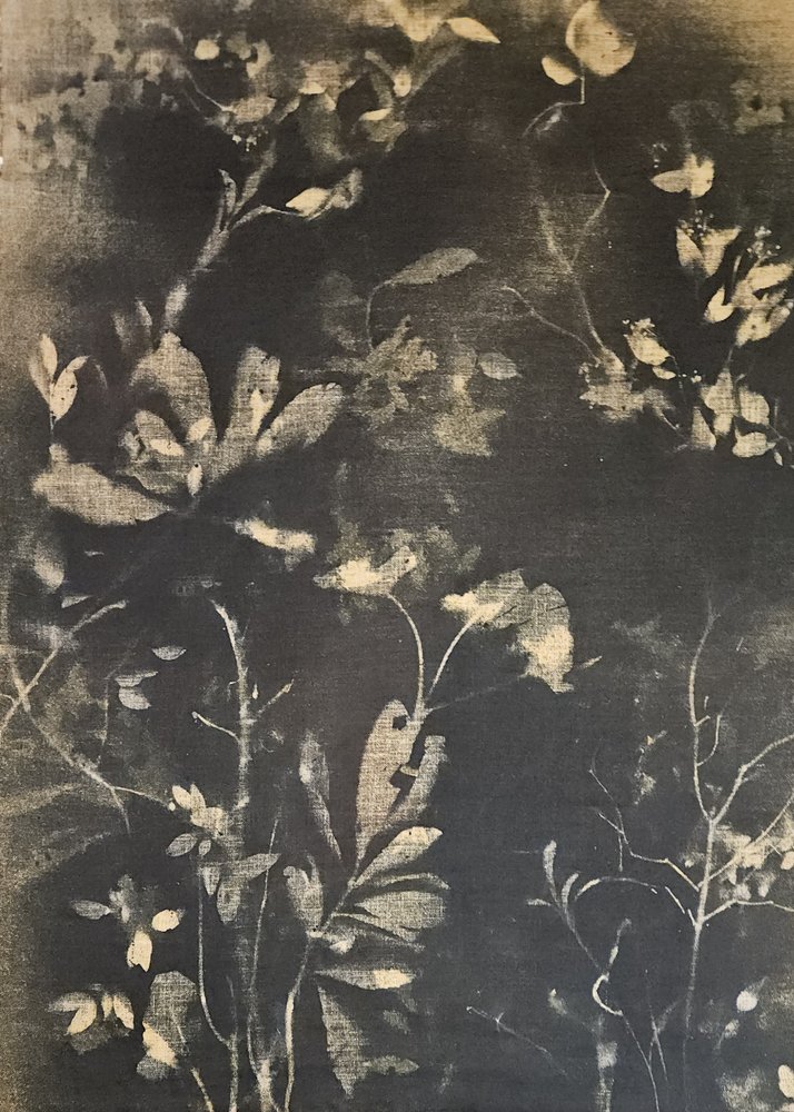 Étude botanique sombre - Stefano Mazzolini