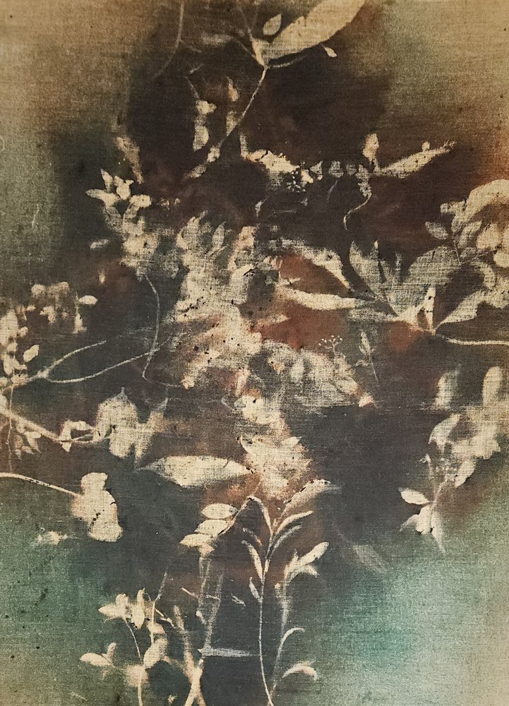 Motifs botaniques éthérés sombres - Stefano Mazzolini