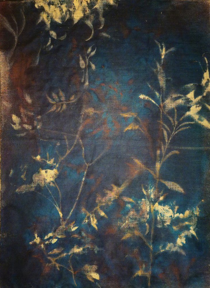Motifs botaniques bleu profond - Stefano Mazzolini