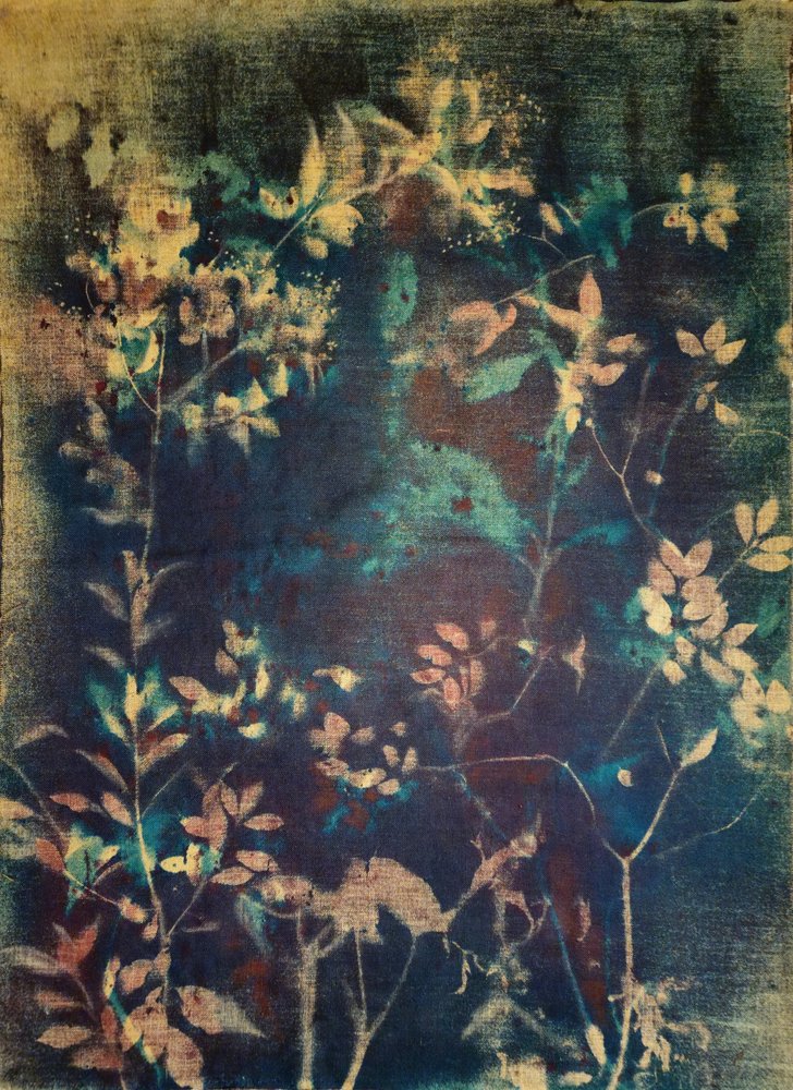 Botaniques bleus éthérés - Stefano Mazzolini