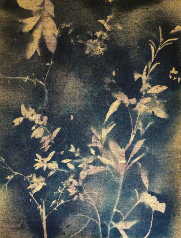 Feuillage indigo lumineux - Stefano Mazzolini
