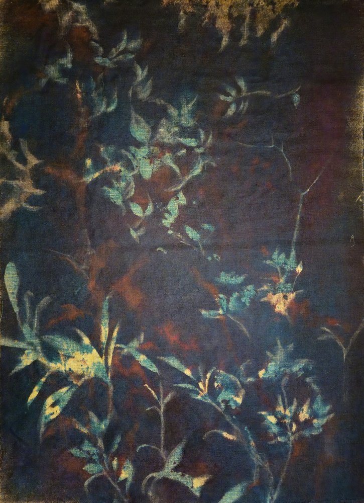 Flore de jardin de minuit - Stefano Mazzolini