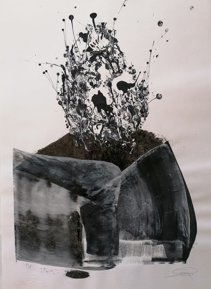 Explosion abstraite monochrome - Stefano Mazzolini