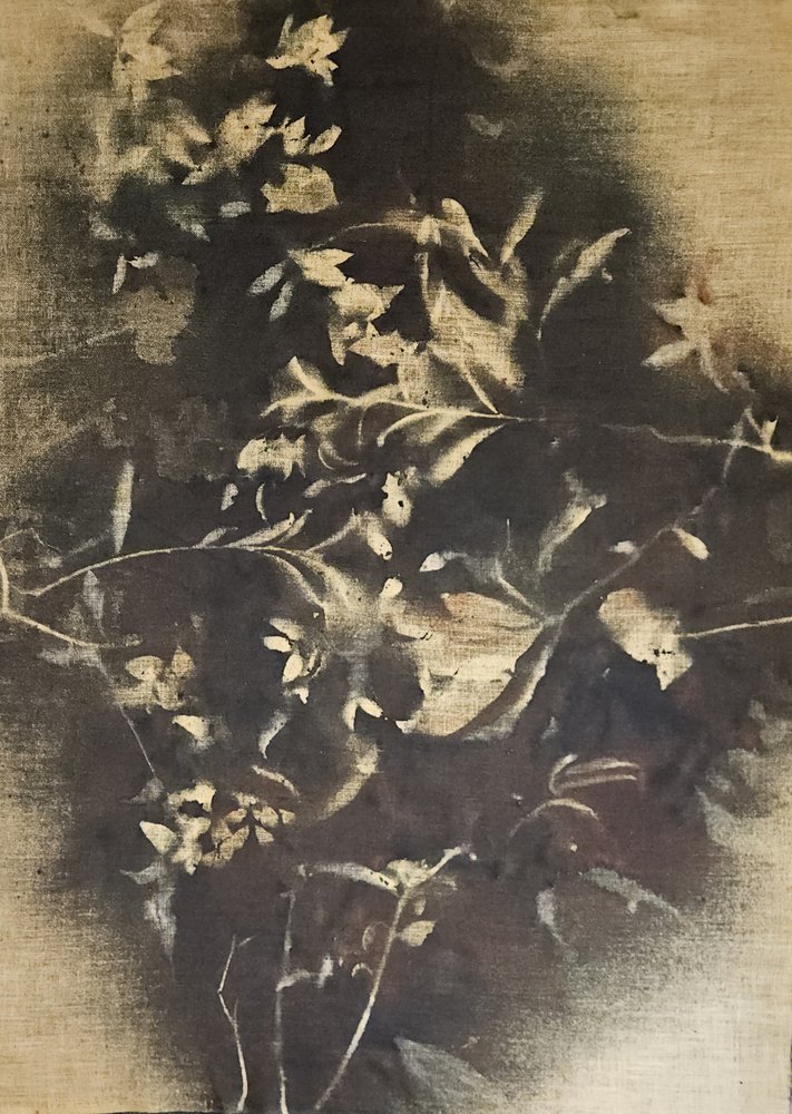 Ombres florales mélancoliques - Stefano Mazzolini