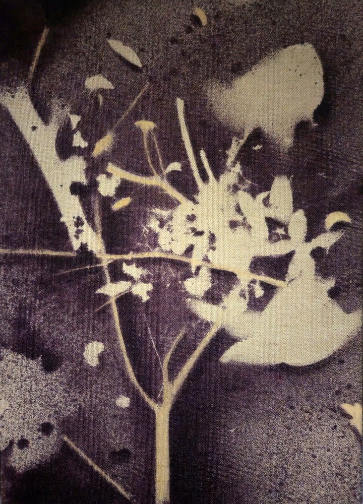 Silhouette botanique violette - Stefano Mazzolini