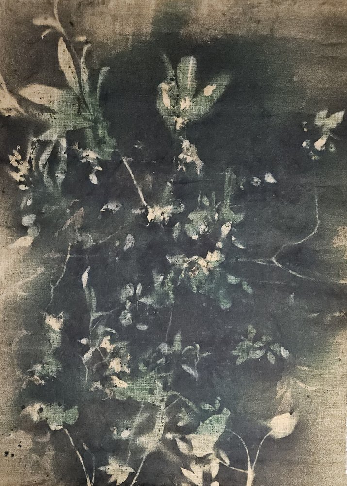 Ombres botaniques vintage - Stefano Mazzolini