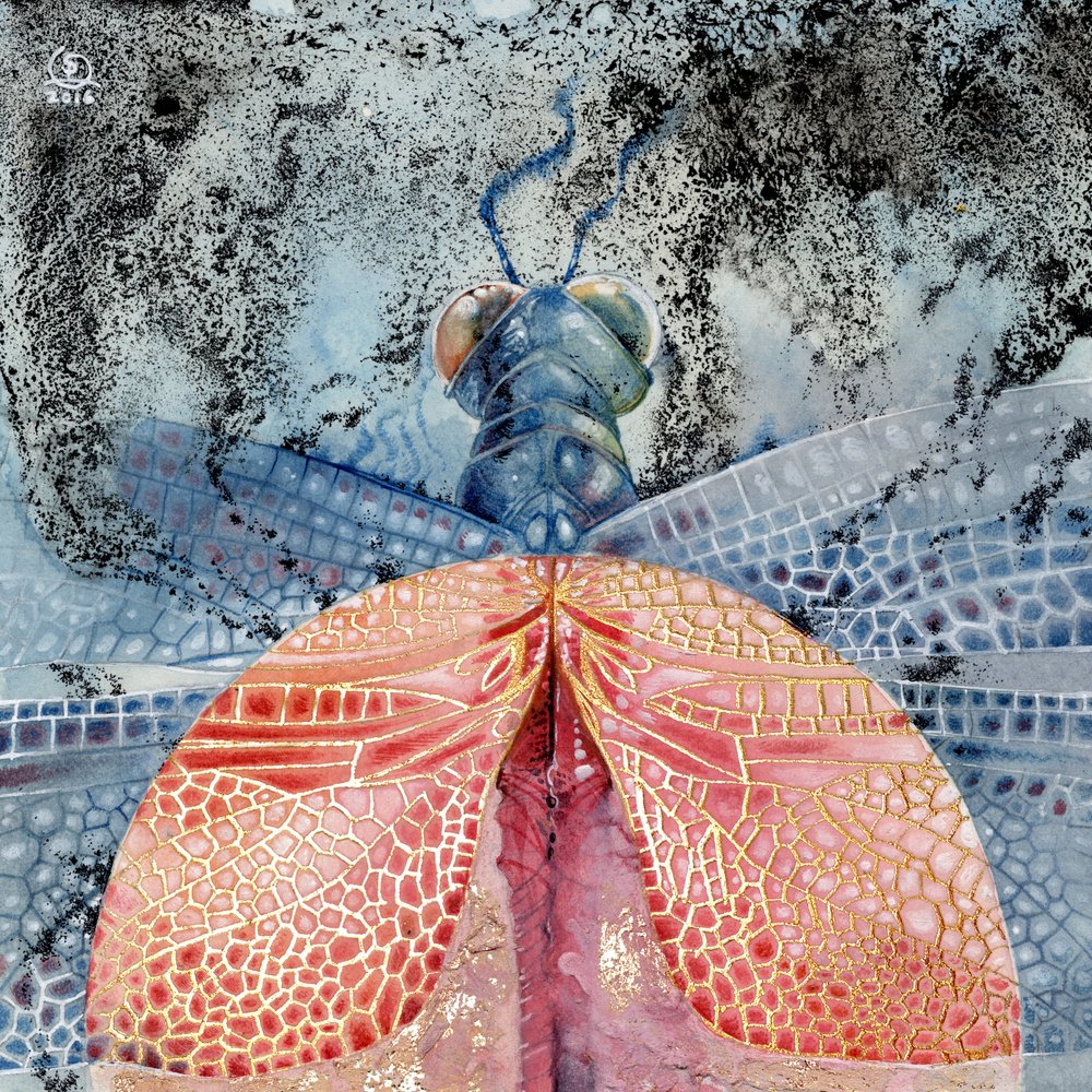 Dragonfly 1 - Stephanie Law