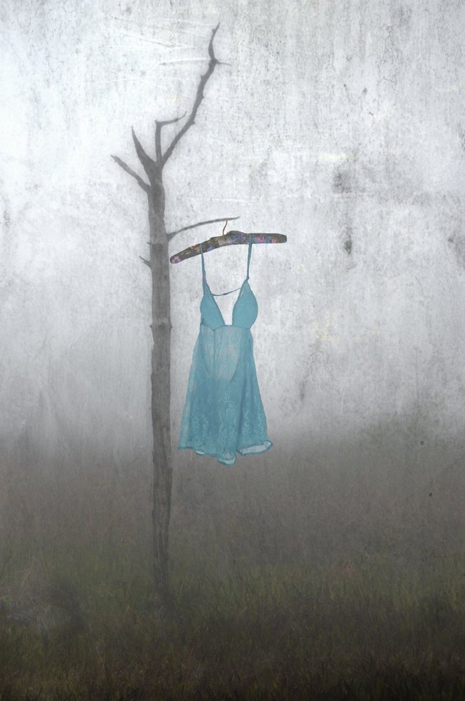 Robe bleue brumeuse - Steven Gibson