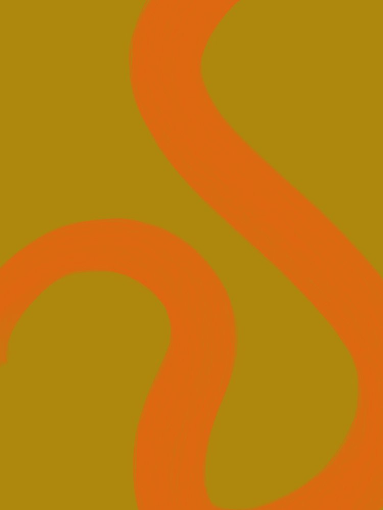 Lignes orange fluides - Studio Palette