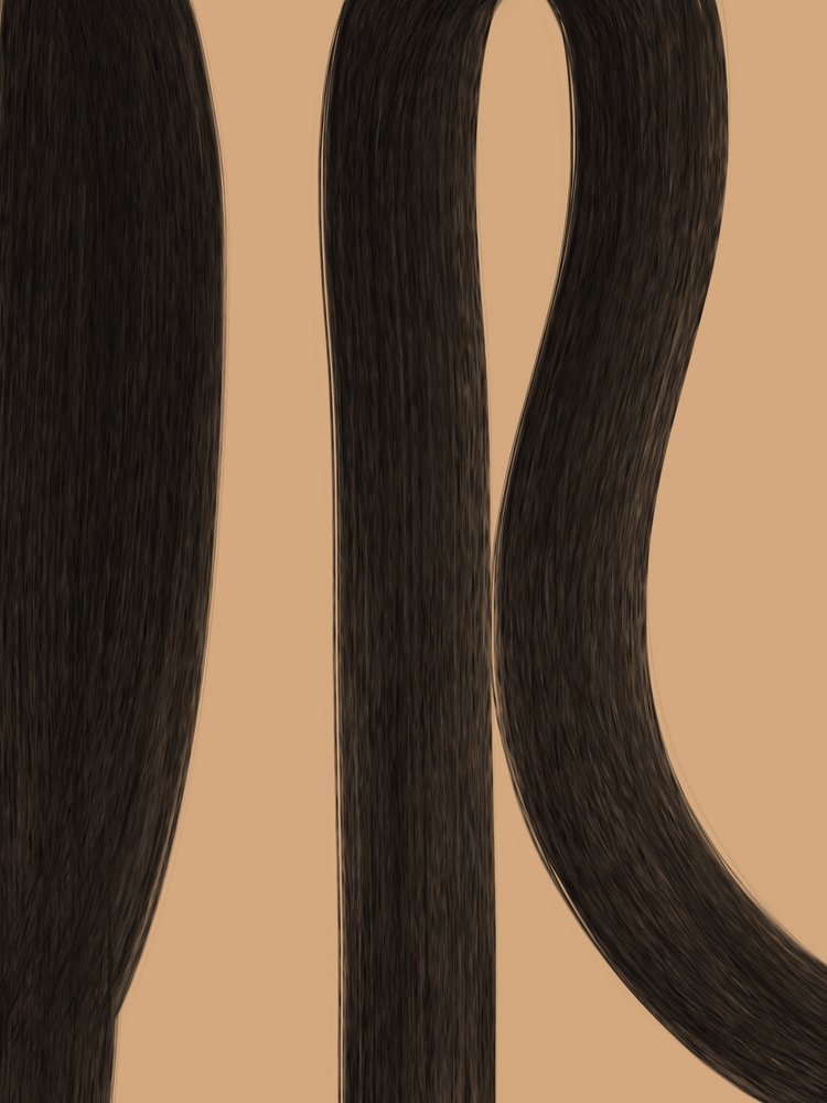 Cheveux bruns foncés et lisses - Studio Palette