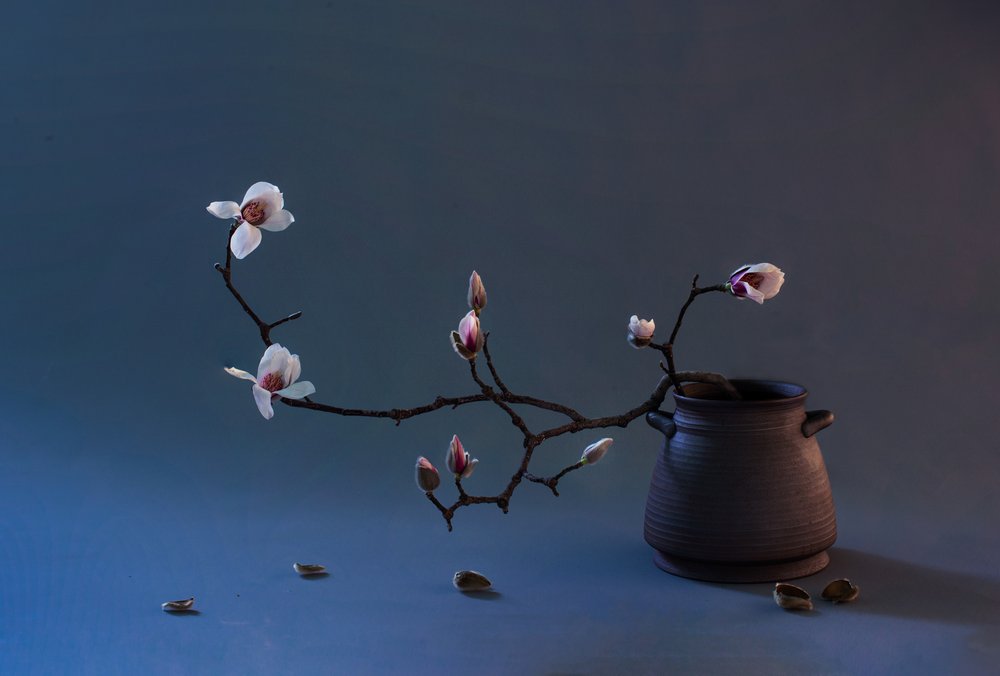 Fleur de magnolia Zen - Summer2016