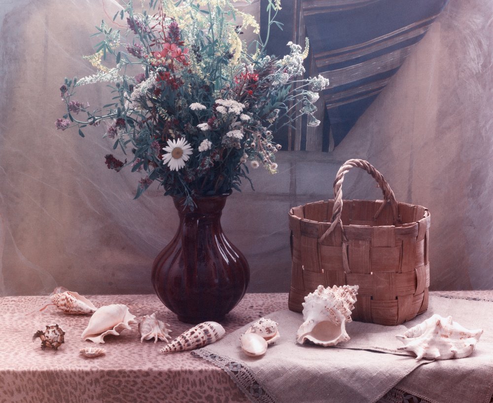 Nature morte aux fleurs sauvages et aux coquillages - UstinaGreen