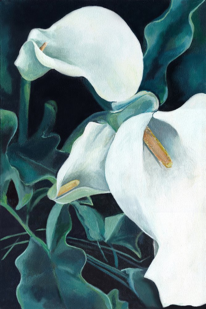 Élégants lis calla blancs - Viccy Wanliss