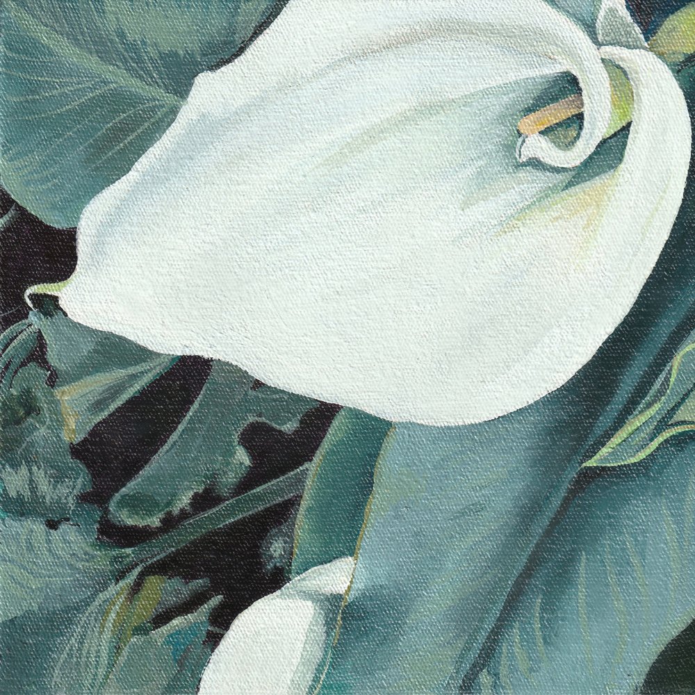 Élégant lis calla blanc - Viccy Wanliss
