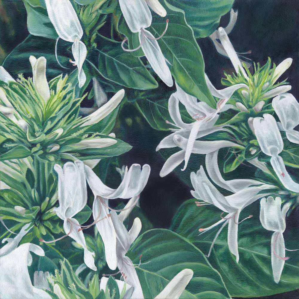 Élégantes fleurs blanches - Viccy Wanliss