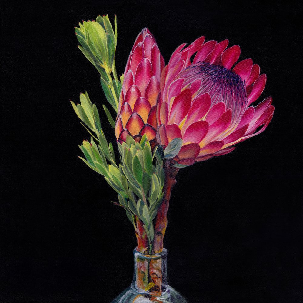 Vases Pink Protea - Viccy Wanliss
