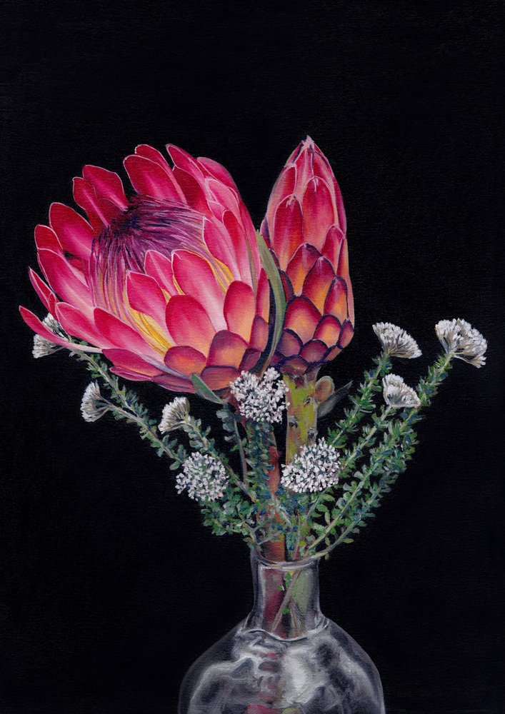 Protea et Blombos, par Viccy Wanliss - Viccy Wanliss