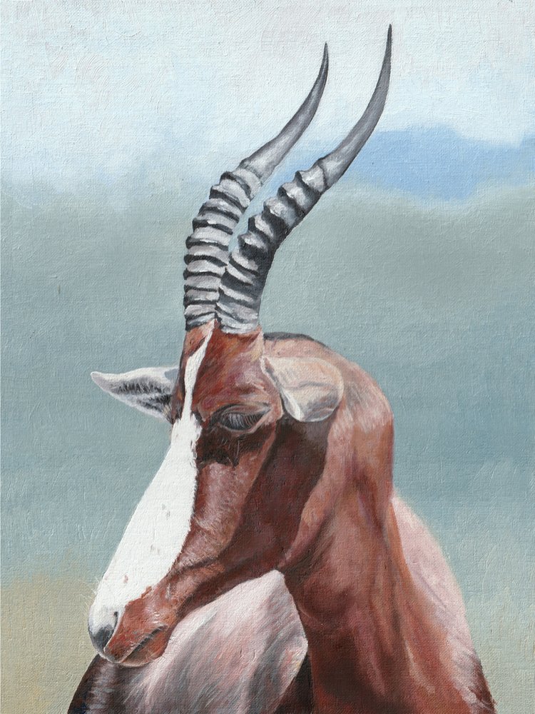 Portrait serein d