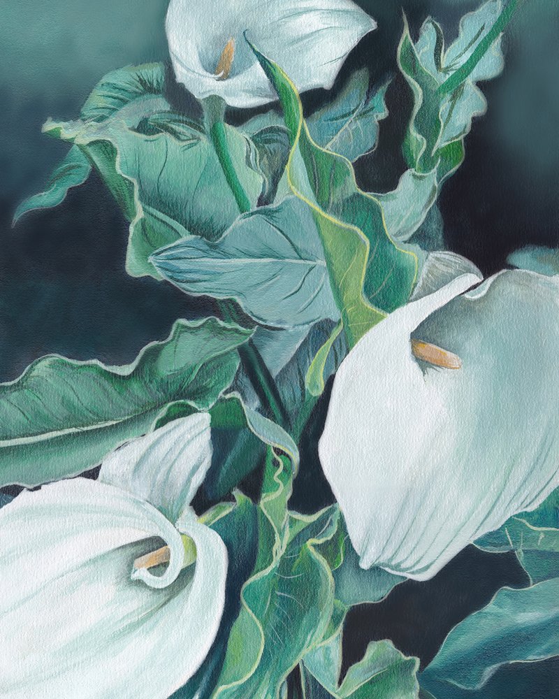Callas blanches - Viccy Wanliss