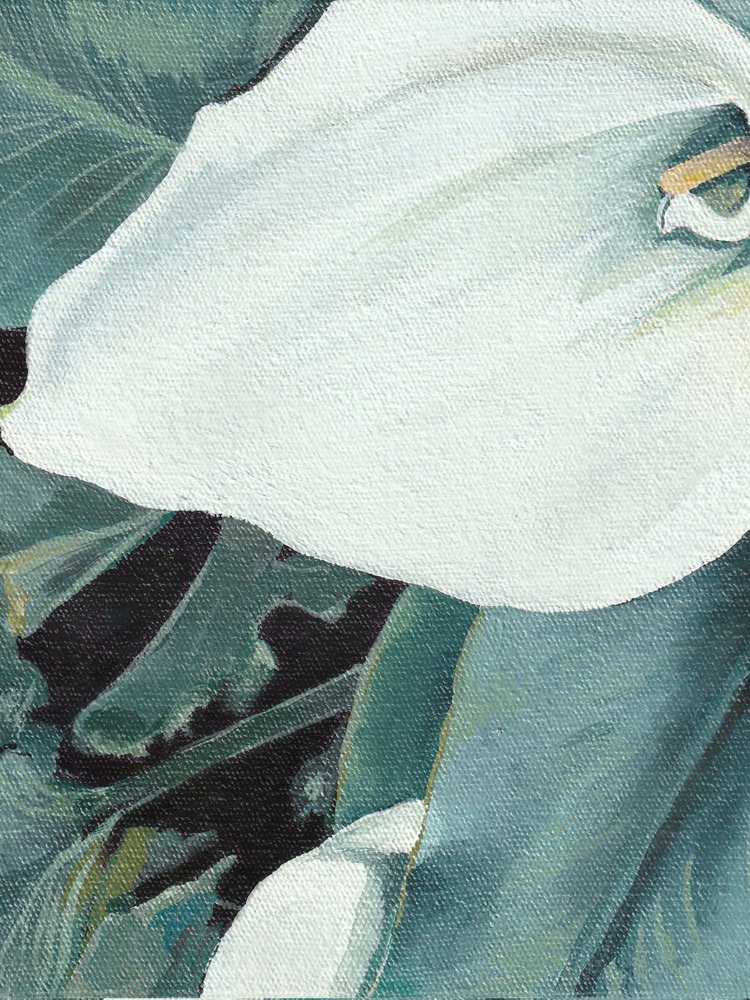 Fleur de calla blanche - Viccy Wanliss