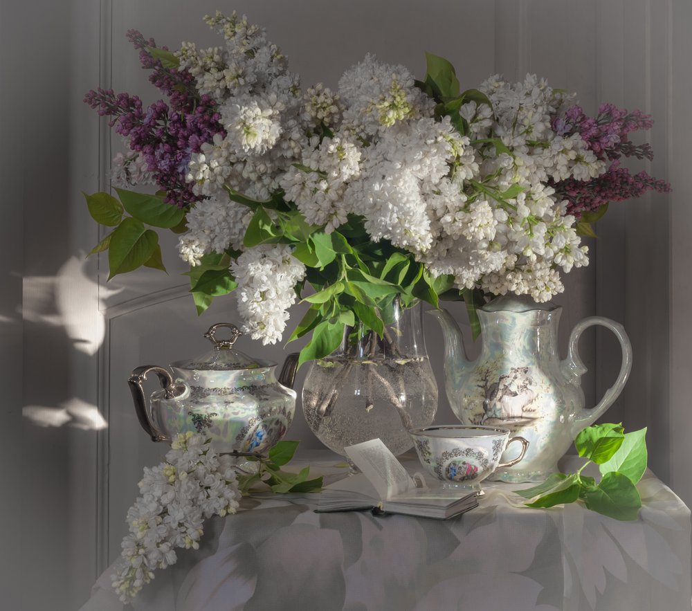 Lilas de printemps et l