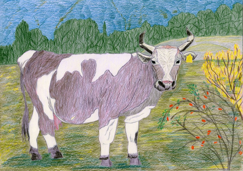 Pâturage des vaches tachetées - Viktoriia Saunina