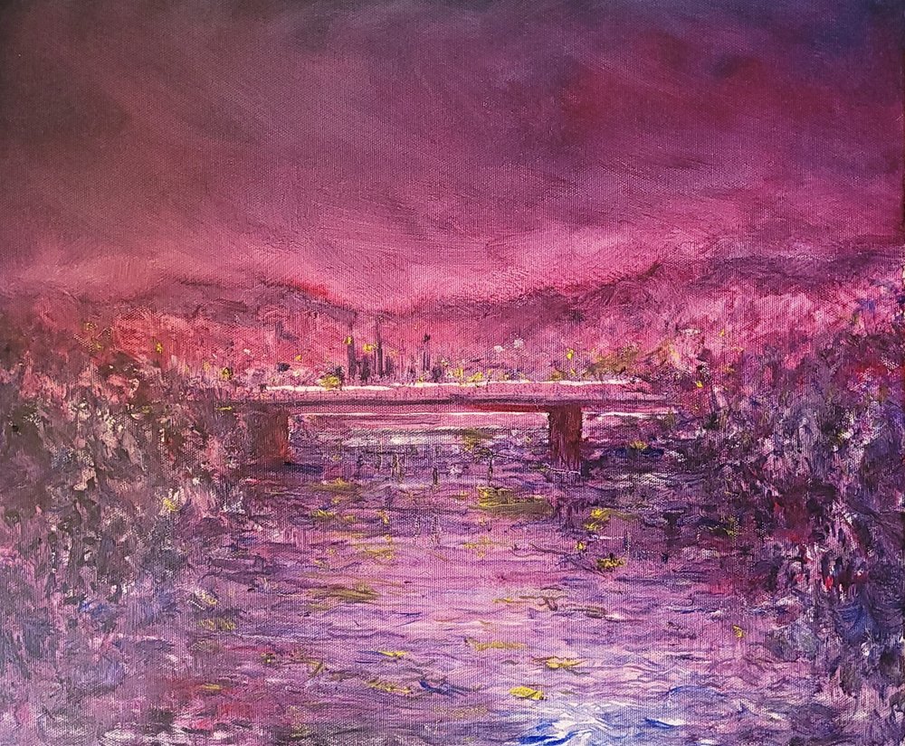 Reflets de la ville rose - Wayne Sleeth