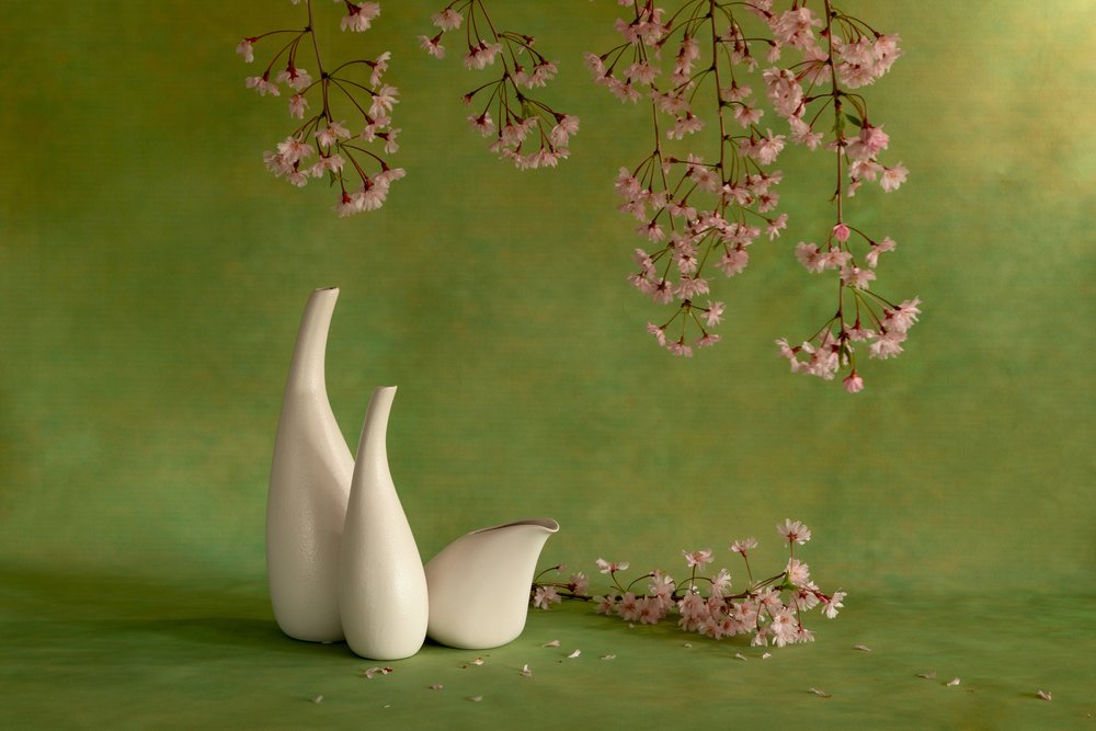  - Wendy Xu