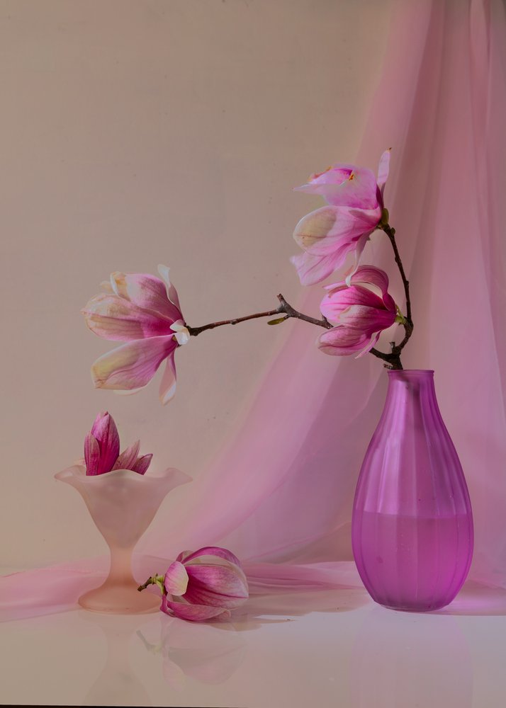  - Wendy Xu