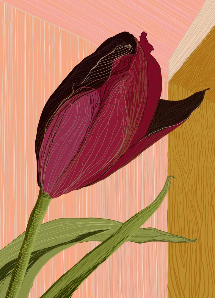 Le coin des tulipes cramoisies - XHOZUCAN