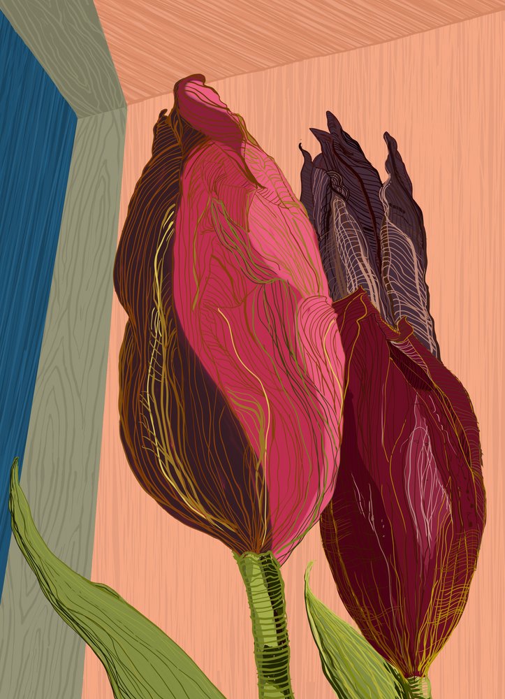 Des tulipes modernes aux couleurs vives - XHOZUCAN