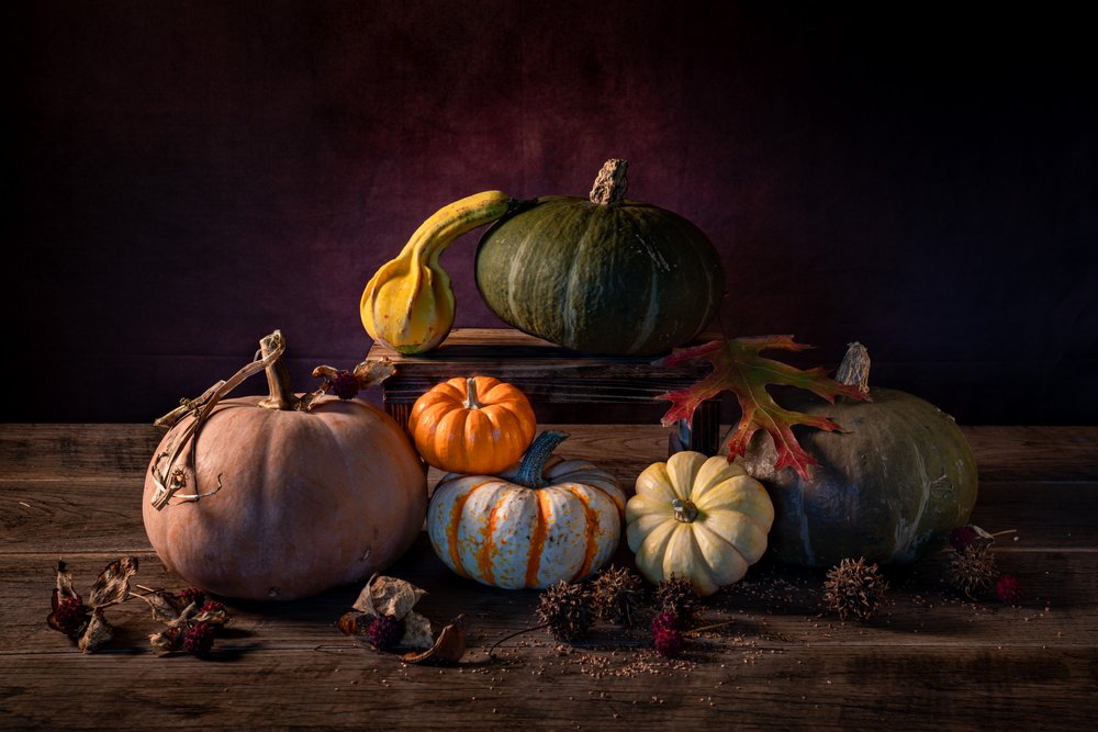 Citrouilles de la récolte d