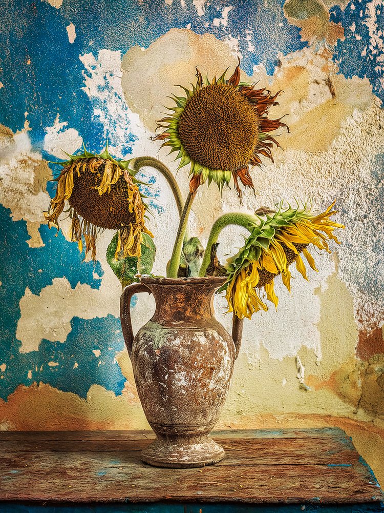 Nature morte aux tournesols fanés - Yasutaka Sameshima