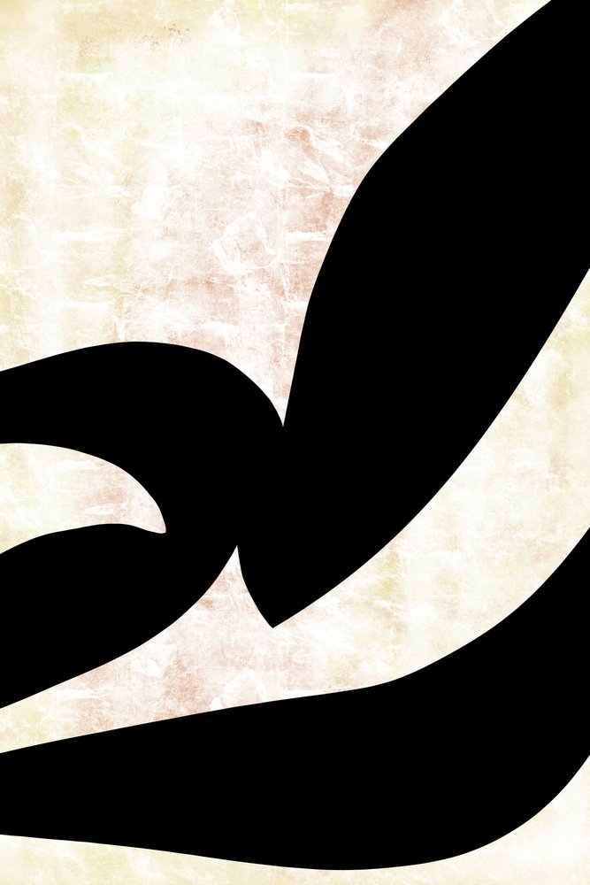Courbes calligraphiques abstraites - cartissi