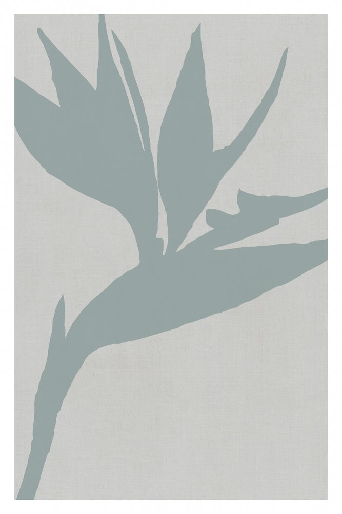 Silhouette d
