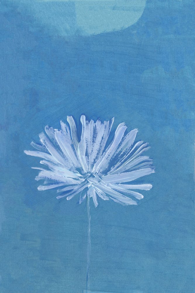 Fleur de la Lune bleue - cartissi