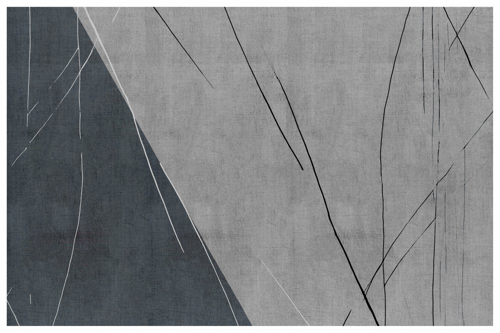 Lignes abstraites gris clair - cartissi