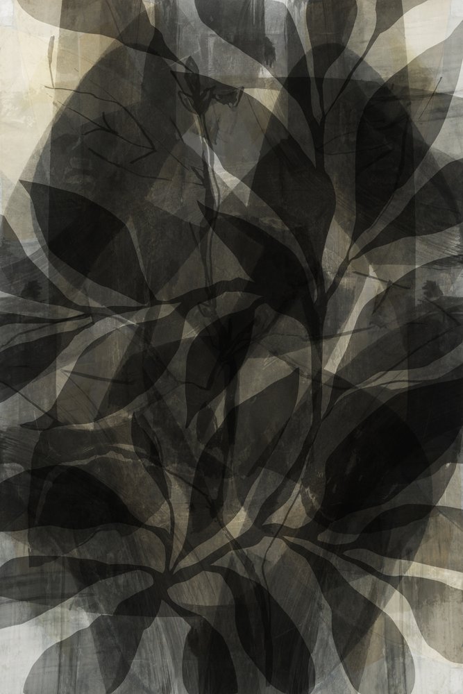Feuillage sombre en couches - cartissi