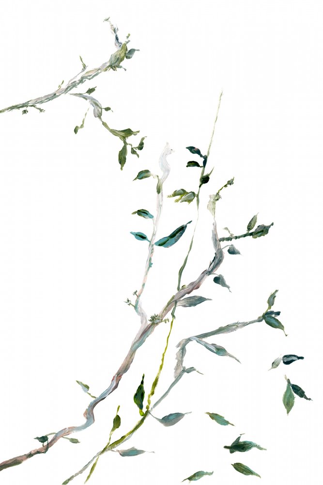 Rameaux verts délicats - cartissi
