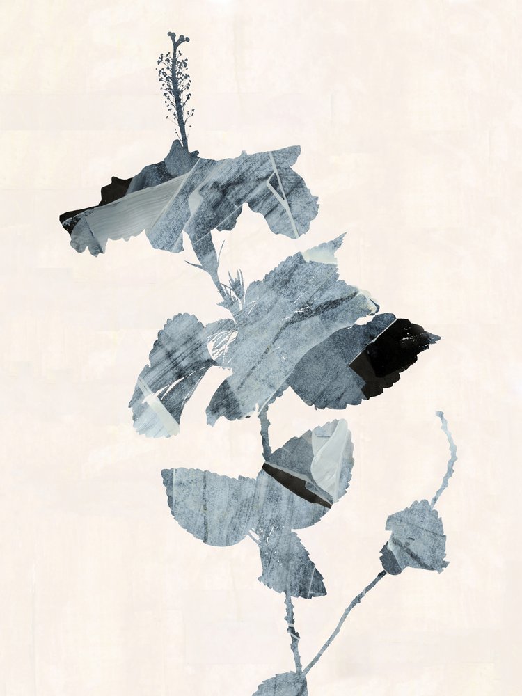 Fleur d