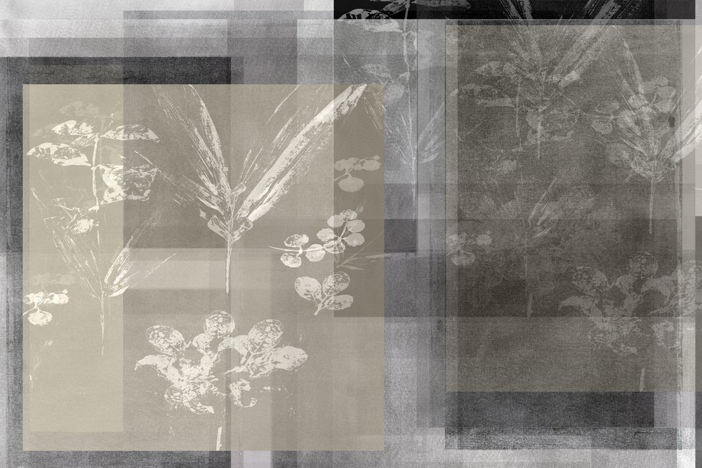 Composition botanique abstraite en superposition - cartissi