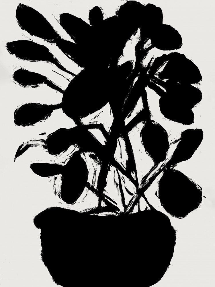 Plante en pot minimaliste - cartissi