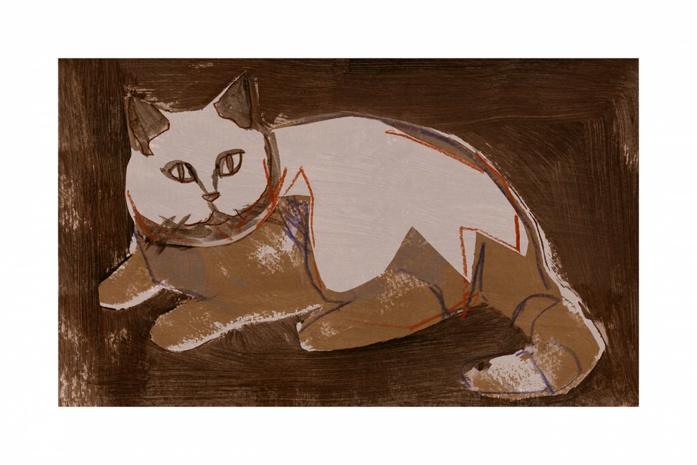 Un chat moderne se repose - cartissi
