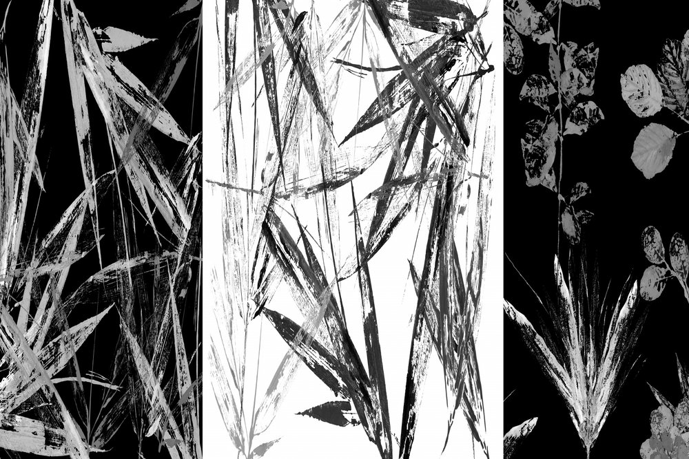 Étude botanique en noir et blanc - cartissi