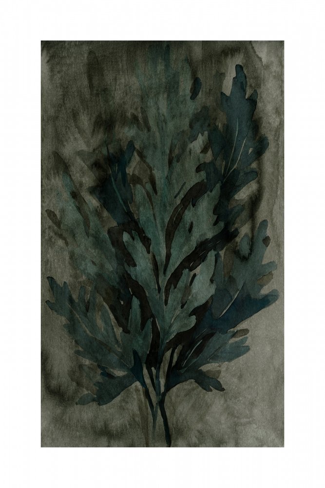 Feuilles botaniques Moody - cartissi