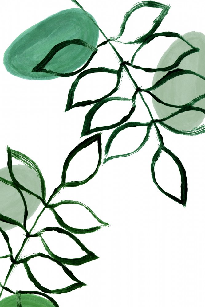 Feuilles vertes bio - cartissi